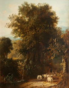 Norfolk Ormanlık Peyzaj